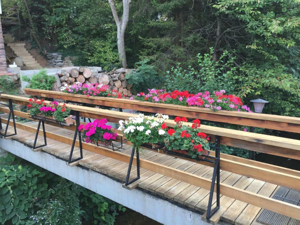 Le Gite Du Pont Ribeauvillé Εξωτερικό φωτογραφία